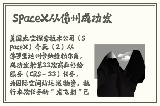 我和黑老大的365天